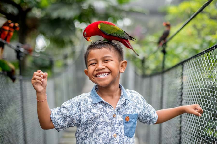 Bali Bird Park: 1-Day Admission Ticket - Key things to know before you go