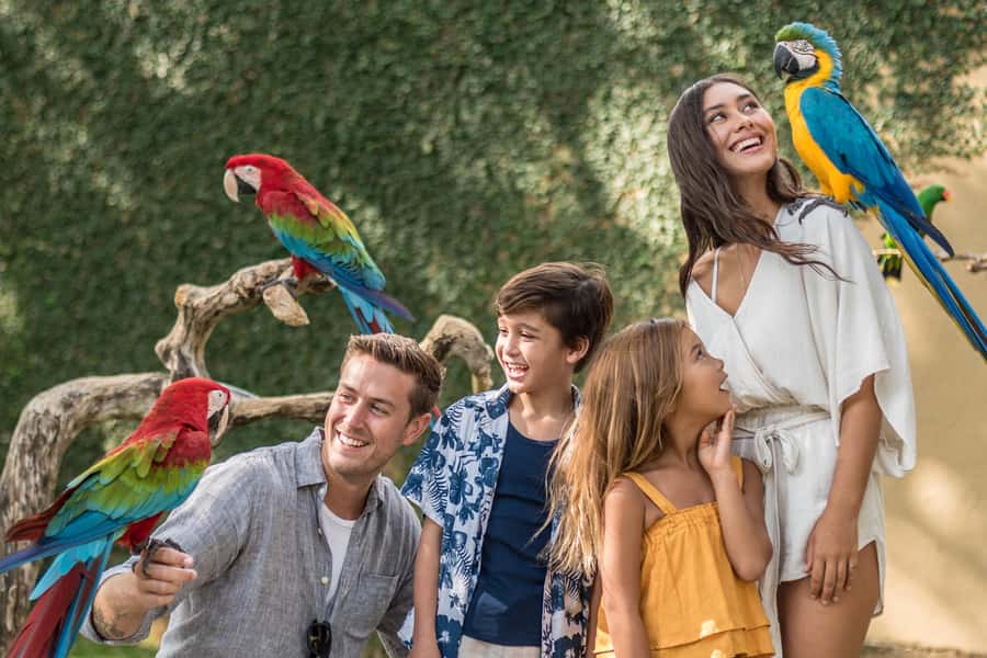 Bali Bird Park: 1-Day Admission Ticket - Entering the habitat zones: from Sumatra mist to Papua rain