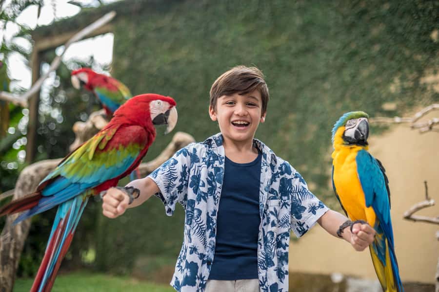 Bali Bird Park: 1-Day Admission Ticket - Free roaming birds plus the fun of walking at your pace