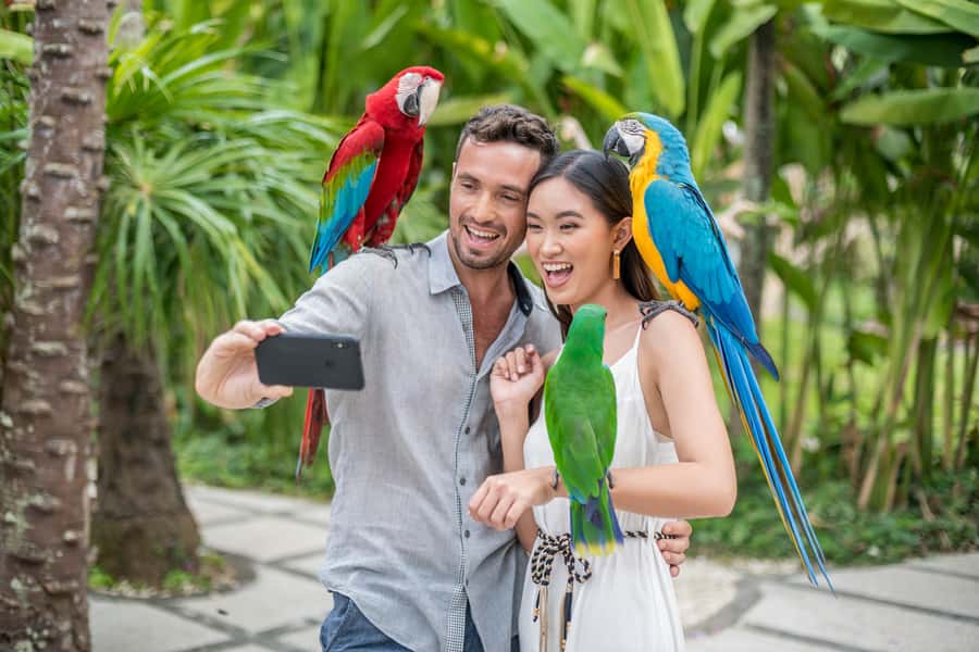 Bali Bird Park: 1-Day Admission Ticket - Practicalities that actually matter in Bali