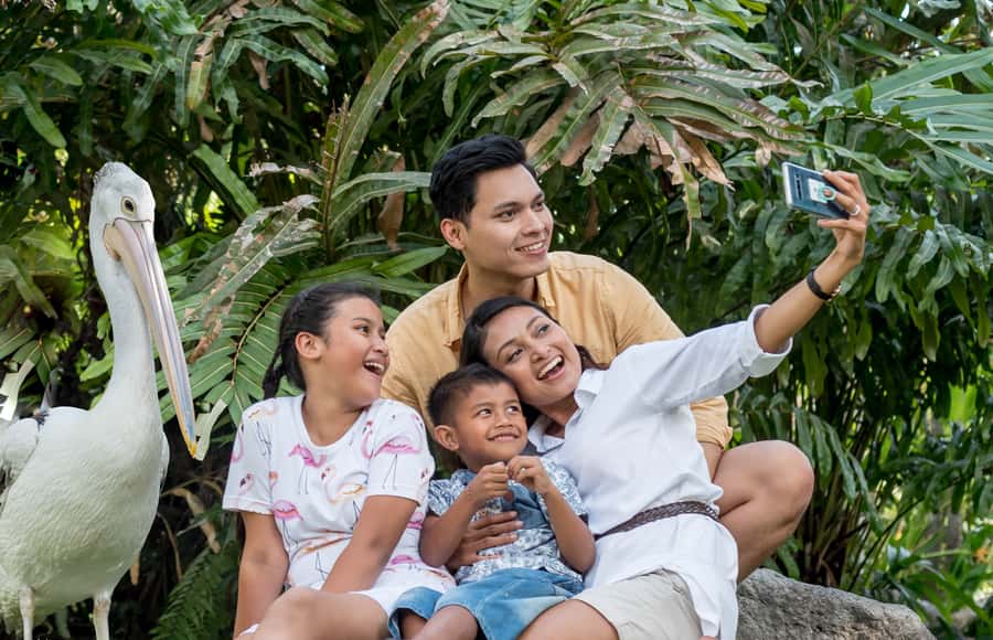 Bali Bird Park 1-Day Admission Ticket - Meet the Bali Stars and the Bali Starling Restaurant stop