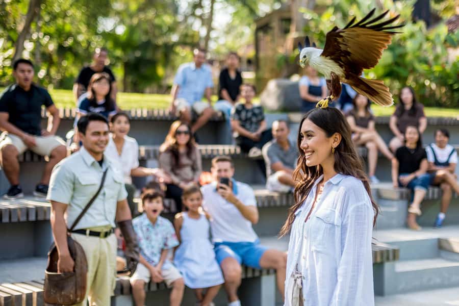 Bali Bird Park: 1-Day Admission Ticket - Price and value: $8 is the easy part