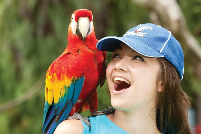 Bali Bird Park Admission Ticket - Ticket value: what $18.82 buys you in real time
