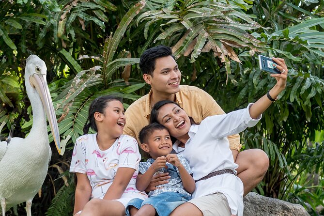 Bali Bird Park Admission Ticket - Entering and orienting inside the park