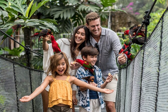 Bali Bird Park Admission Ticket - Your 3 hours: building a show-and-wander timeline