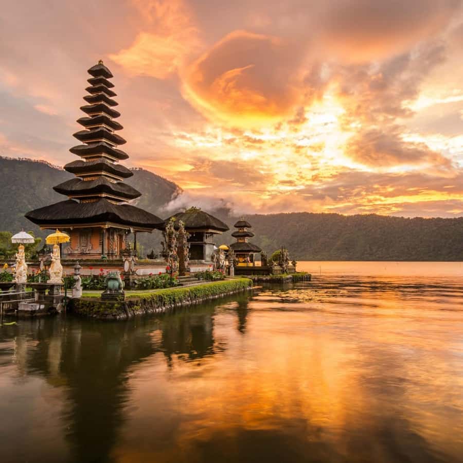 Bali Bliss: Dolphin Lovina Private Expedition - Ubud Rice Terraces and Tegallalang, a Calmer Finish