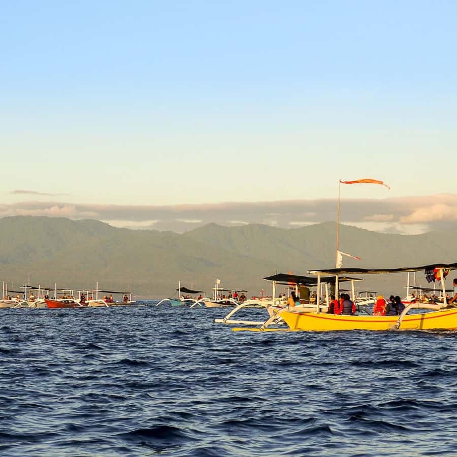 Bali Bliss: Dolphin Lovina Private Expedition - Lovina to Wanagiri, How the Hidden Hill Stop Changes the Mood