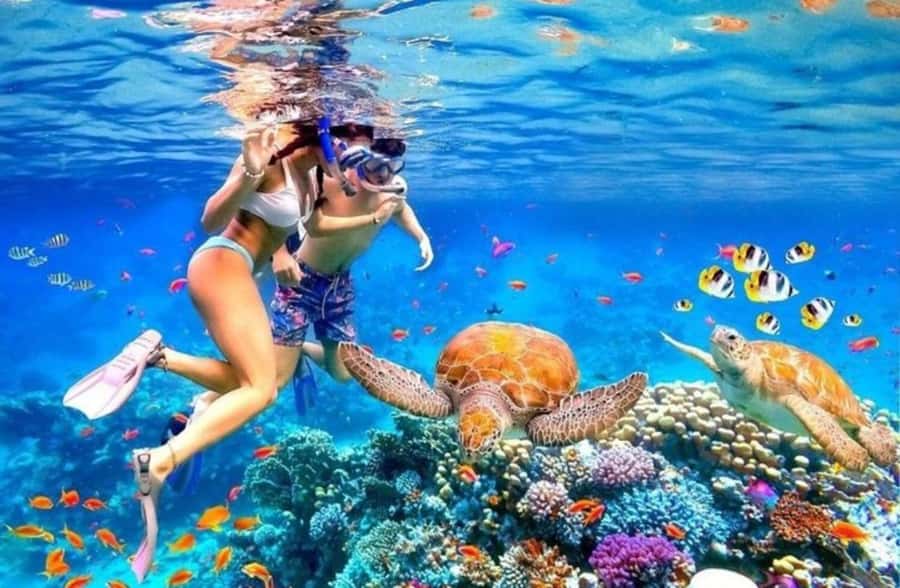 Bali: Blue Lagoon and Tanjung Jepun Snorkeling Trip - Quick Snapshot: 2 Hours, Two Reefs, Pickup All Over Bali