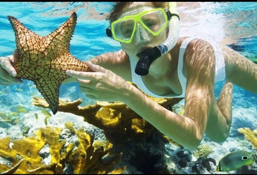 Bali: Blue Lagoon and Tanjung Jepun Snorkeling Trip - Getting Into the Water: Gear, Safety Briefing, and Reef Etiquette