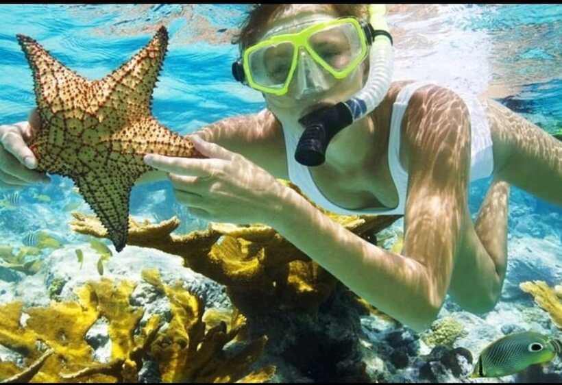 Bali: Blue Lagoon and Tanjung Jepun Snorkeling Trip - Who This Snorkeling Trip Fits Best