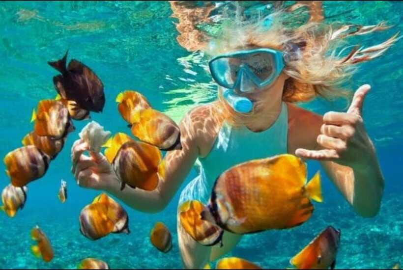 Bali: Blue Lagoon and Tanjung Jepun Snorkeling Trip - Tips That Make Your Two Hours Count