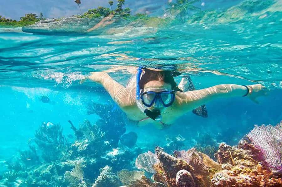 Bali: Blue Lagoon Beach Snorkeling Tour with Lunch - What to Bring, What to Skip, and What You Might Rent
