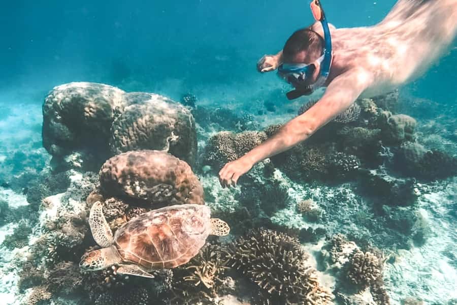 Bali: Blue Lagoon Beach Snorkeling Tour with Lunch - Price and Value: Why $18 Can Feel Like a Deal in Bali