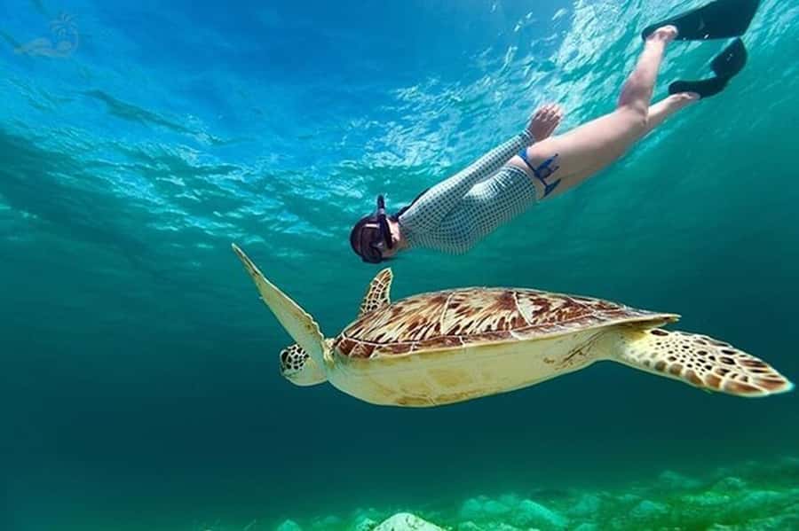 Bali: Blue Lagoon Snorkel, Kanto Lampo & Tibumana Waterfalls - Blue Lagoon Beach snorkeling: reefs, turtles, and the practical rhythm of the day