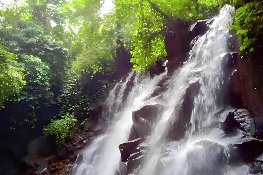 Bali: Blue Lagoon Snorkel, Kanto Lampo & Tibumana Waterfalls - Who should book, and who should skip this day trip