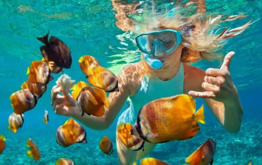 Bali: Blue Lagoon Snorkeling Inclusive of Lunch & Transport - The Safety Briefing That Makes Beginners Comfortable