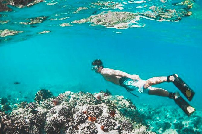Bali Blue Lagoon Snorkeling - Lunch and Transport All Inclusive - Price and Value for a Private Bali Day That Actually Runs on Time