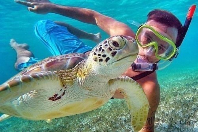 Bali Blue Lagoon Snorkeling - Lunch and Transport All Inclusive - Blue Lagoon and Tanjung Jepun Snorkeling: What Guided Reef Time Feels Like