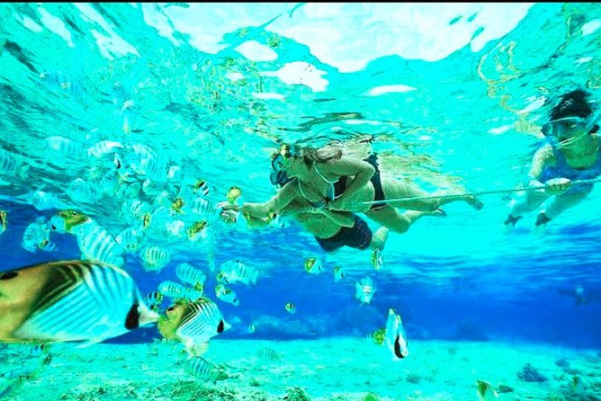 Bali Blue Lagoon Snorkeling - Lunch and Transport All Inclusive - What Included Means for Your Day (Not Just What It Lists)
