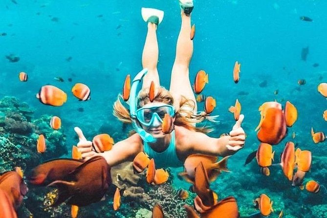 Bali Blue Lagoon Snorkeling - Lunch and Transport All Inclusive - Lempuyang Temple Morning: Gates of Heaven Photos Without Guessing