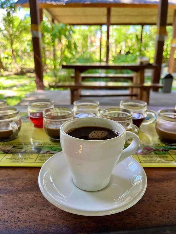 Bali: Blue Lagoon Snorkeling, Waterfall, and Plantation - The coffee plantation add-on, and why it is more than a break