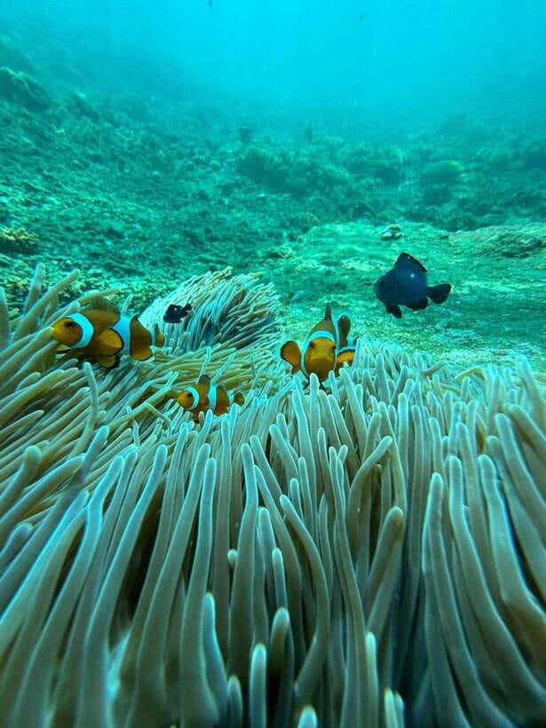 Bali: Blue Lagoon Snorkeling, Waterfall, and Plantation - The boat ride and the guide brief, what it means for first-timers