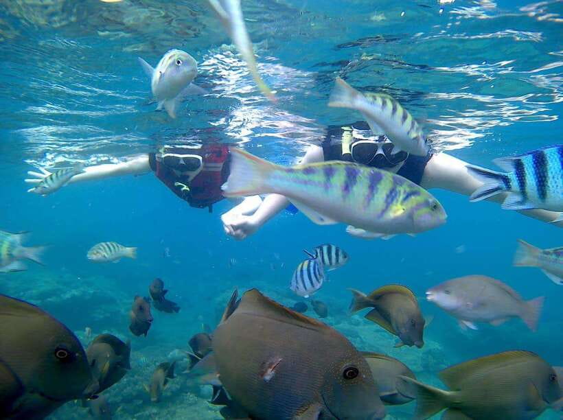 Bali: Blue Lagoon Snorkeling & Waterfall Tour - Key things I’d watch for