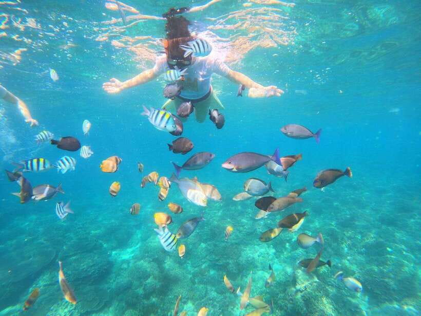 Bali: Blue Lagoon Snorkeling & Waterfall Tour - Tanjung Jepun snorkeling: calm water and reef watching