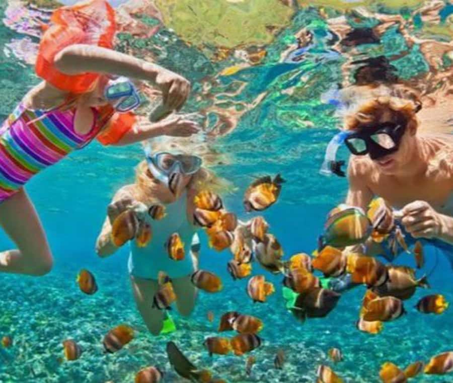 Bali: Blue Lagoon Snorkeling & Waterfall Tour with Lunch - Guides and transport details that make or break the day