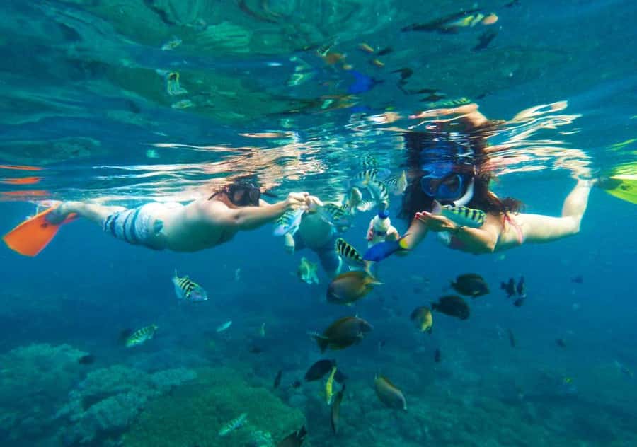 Bali: Blue Lagoon Snorkeling with Lunch & Transport - Key highlights worth your attention