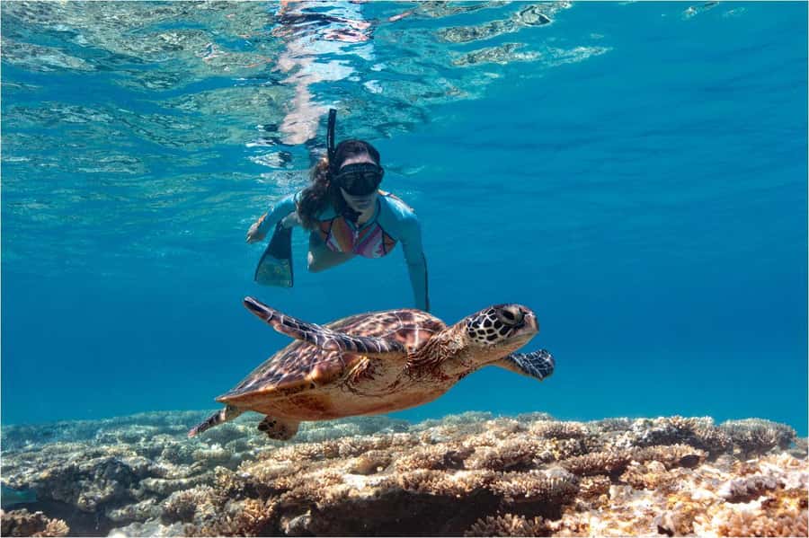 Bali: Blue Lagoon Snorkeling with Lunch & Transport - Blue Lagoon Beach snorkeling: what you’re really paying for