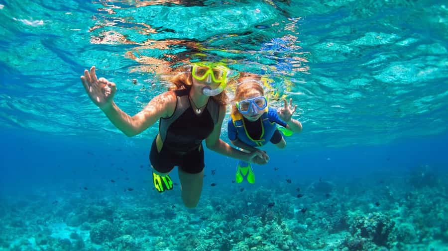 Bali: Blue Lagoon Snorkeling with Lunch & Transport - The Tanjung Jepun Beach stop: the underwater checklist you can expect