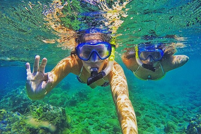 Bali Blue Lagoon Snorkeling with Private Transfer & Lunch - Lunch after snorkeling: set-menu Indonesian food, fried noodles or fried rice, and vegetarian requests
