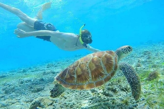 Bali Blue Lagoon Snorkeling with Private Transfer & Lunch - Optional waterfalls upgrade: Tibumana and Kanto Lampo, plus the stairs and crowd factor