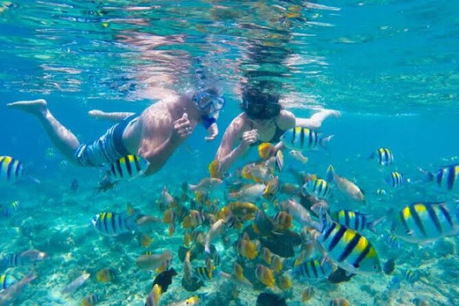 Bali Blue Lagoon Snorkeling with Private Transfer & Lunch - Seminyak pickup, traffic time, and what “about 6 to 8 hours” really means