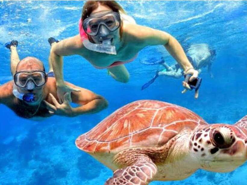 Bali: Blue Lagoon & Tanjung Jepun Snorkeling & lunch - Key Highlights You Should Know