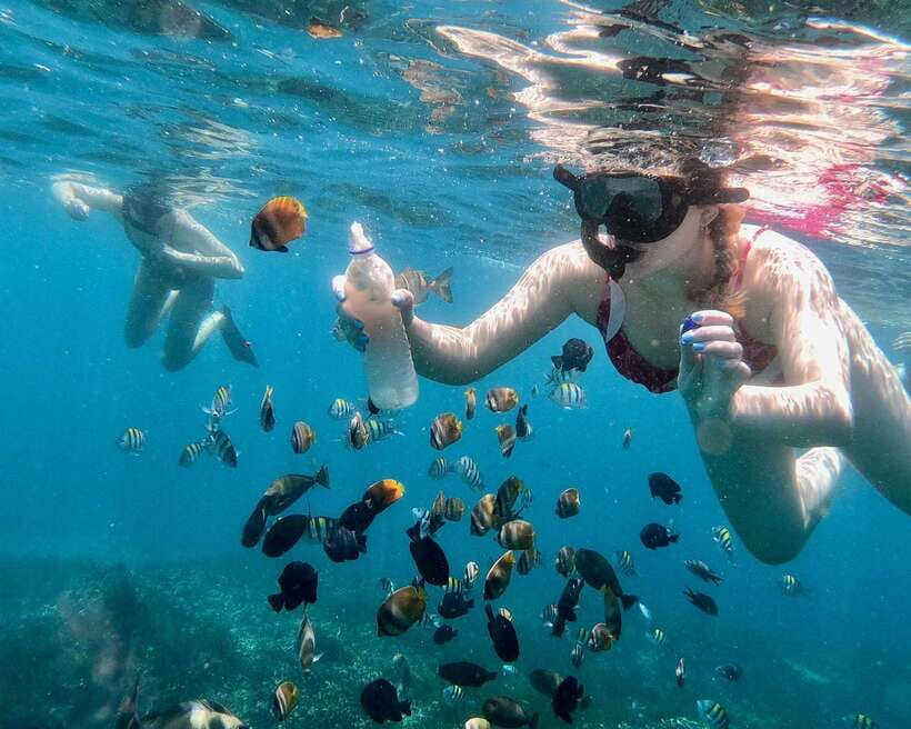 Bali: Blue Lagoon & Tanjung Jepun Snorkeling & lunch - Who This Snorkeling Day Fits Best (And Who Might Skip It)