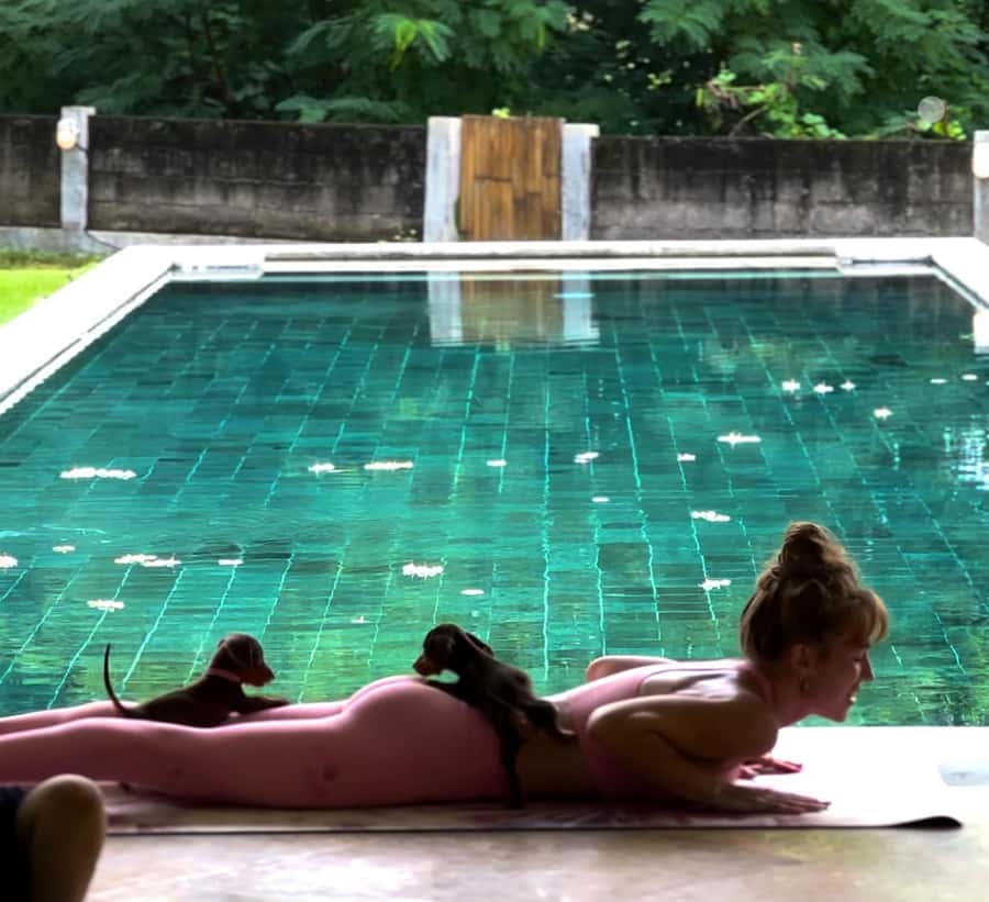 Bali: Canggu & Uluwatu Puppy Yoga Class & Refreshing Drinks - Puppy Yoga Bali in Canggu and Uluwatu: a fun class with a real purpose