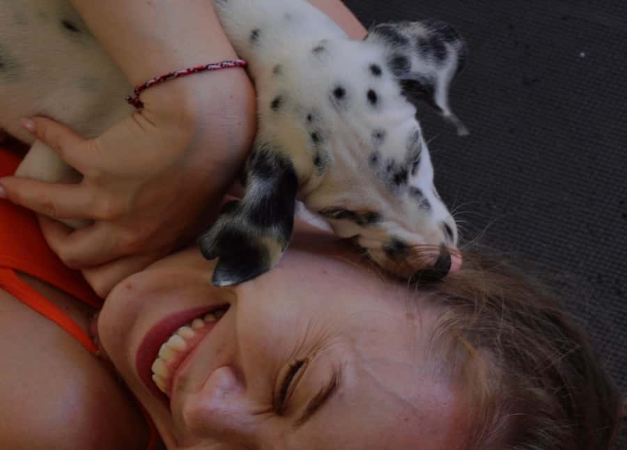 Bali: Canggu & Uluwatu Puppy Yoga Class & Refreshing Drinks - What the session feels like: dynamic yoga, lots of puppy interaction