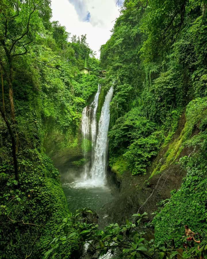 Bali: Cliff Jumping Gitgit Waterfalls & Rice Terrace Tour - Gitgit Waterfall: Jungle Paths, Stream Crossings, and the Big Drop Sound