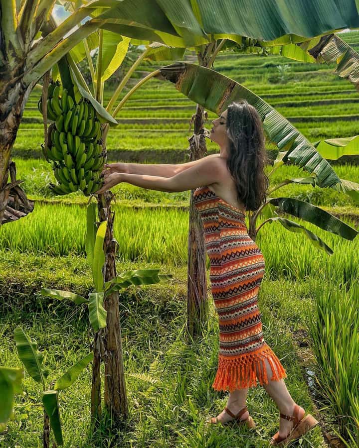 Bali: Cliff Jumping Gitgit Waterfalls & Rice Terrace Tour - Who Should Skip This Tour, and Who Will Love It