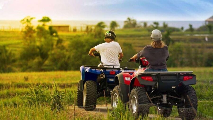 Bali: Costumized Tour with Private Transport and Guide - Temples like Uluwatu and Besakih: plan for respectful stops