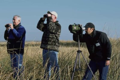 Countryside Bird Watching Tour with Hotel Transfer