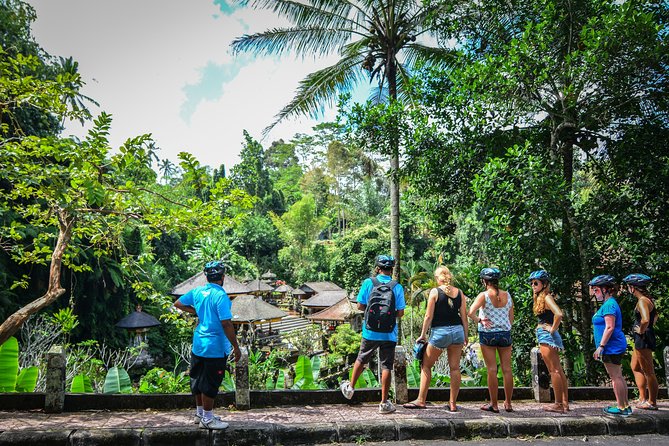 Bali Countryside Cycling Tours - Coffee plantation learning, civet coffee if you want it