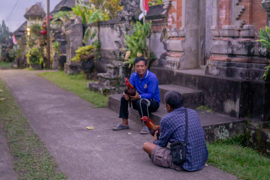 Bali: Cultural Ritual, Local Cuisine & Firefly Adventure - What to bring and how to behave (so you’re comfortable and respectful)