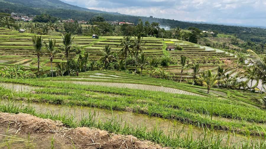 Bali: Customise your Bali Tour with Driver-Guide - Ulun Danu Bratan Temple and Twin Lake View