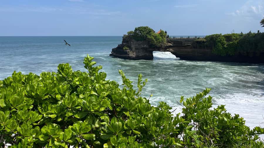 Bali: Customise your Bali Tour with Driver-Guide - Price and Value: Private Comfort for $70 per Group