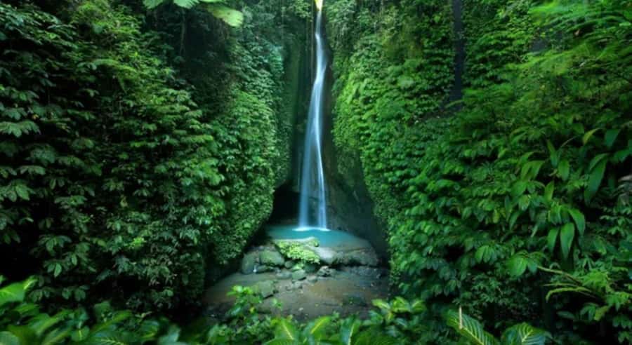 Bali: Customised North Bali Tour With Hotel Transfer - North Bali With a Private Car and Hotel Transfer