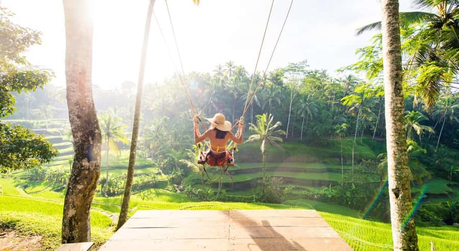 Bali: Customised Ubud Tour with Profesional Tour Guide - Monkey Forest in Ubud: Temple Complex, Sanctuary, and How to Handle It