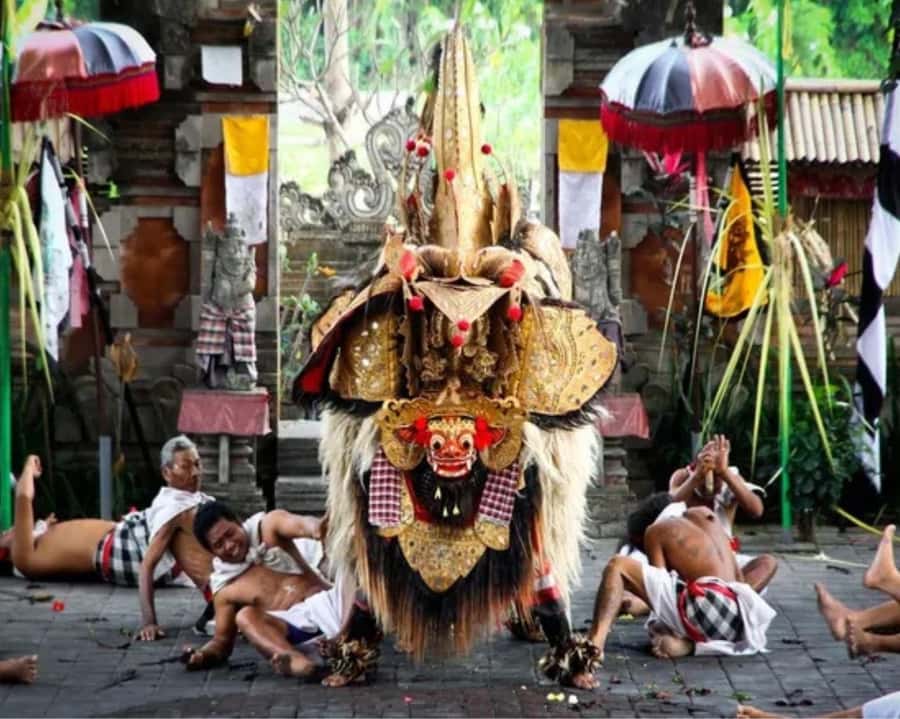 Bali: Customised Ubud Tour with Profesional Tour Guide - Getting Set Up: Pickup, Private AC Car, Fuel, and Water